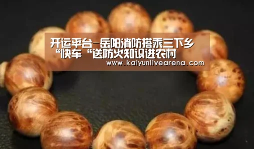 开运平台-岳阳消防搭乘三下乡“快车“送防火知识进农村(图1) 开运下载
