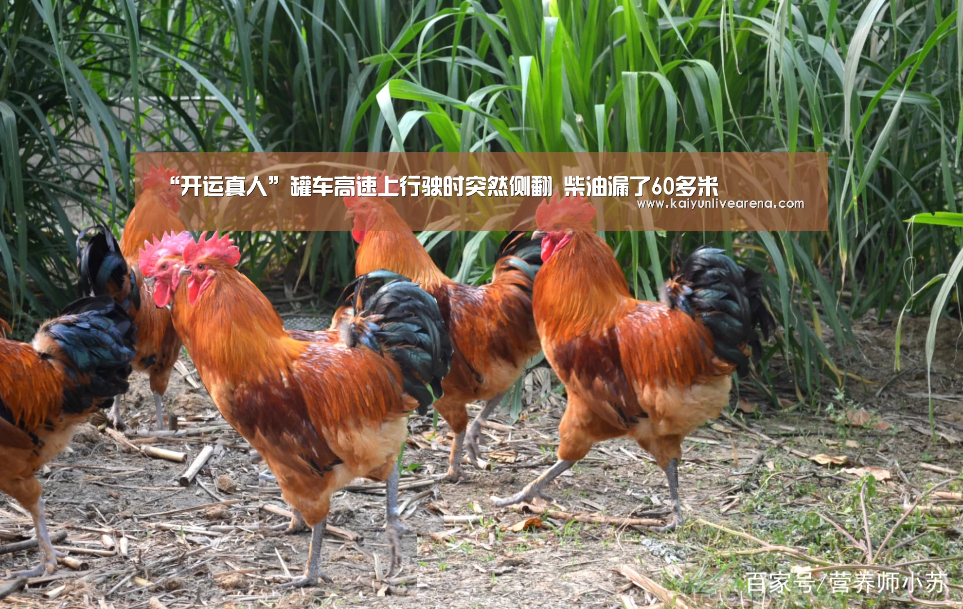 “开运真人”罐车高速上行驶时突然侧翻 柴油漏了60多米(图3) 开运平台