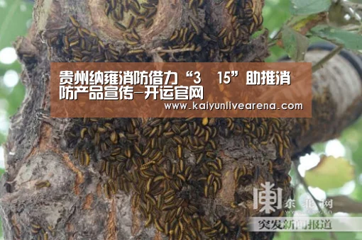 贵州纳雍消防借力“3•15”助推消防产品宣传-开运官网(图2) 开运平台